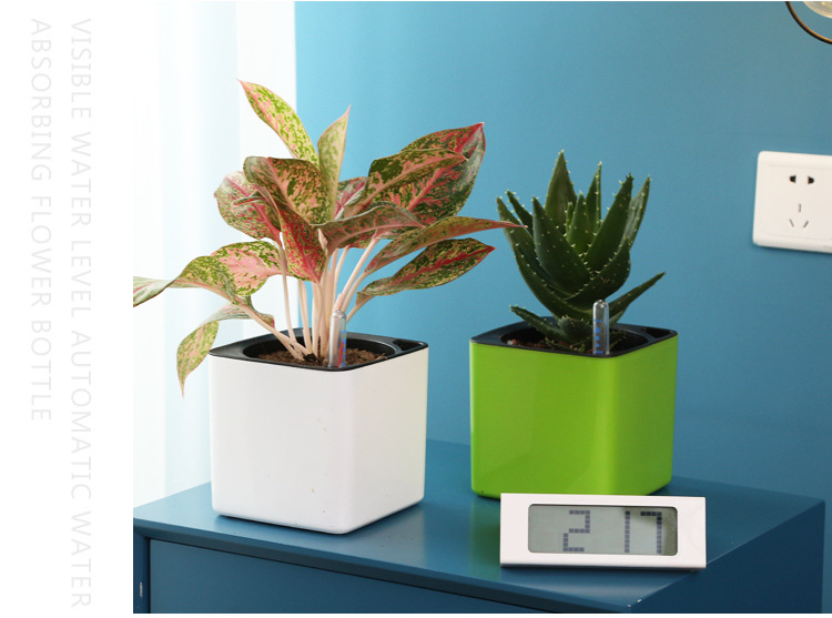 Self-Watering Planter