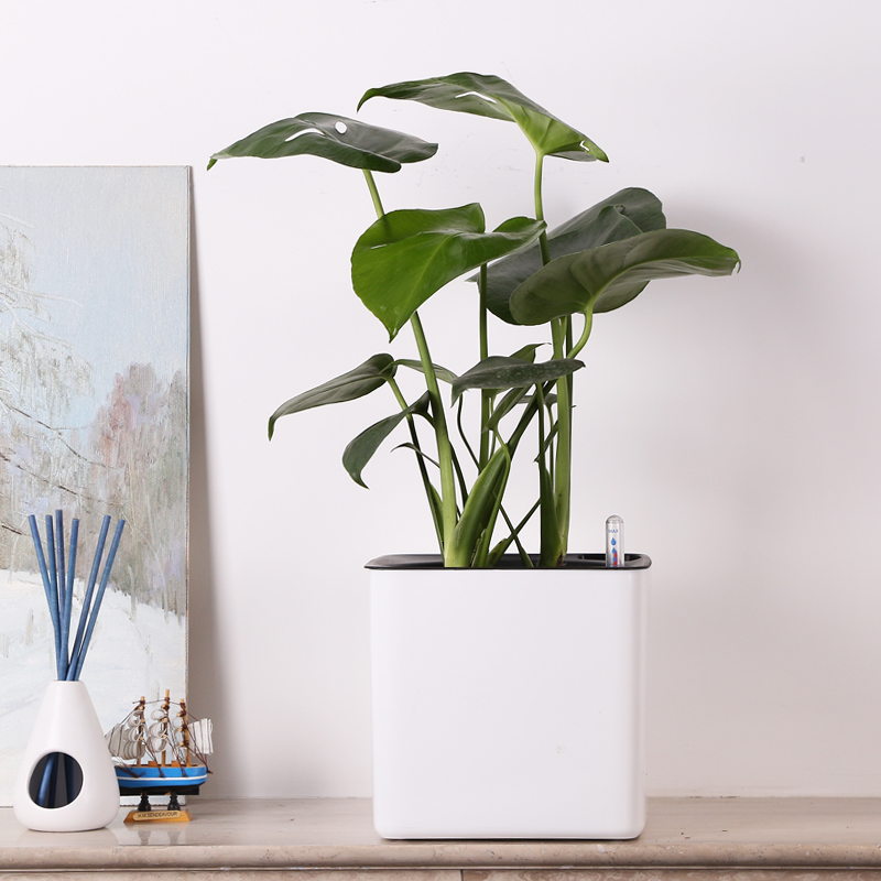 Self-Watering Planter