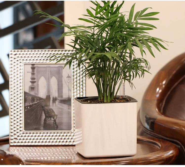 Self-Watering Planter