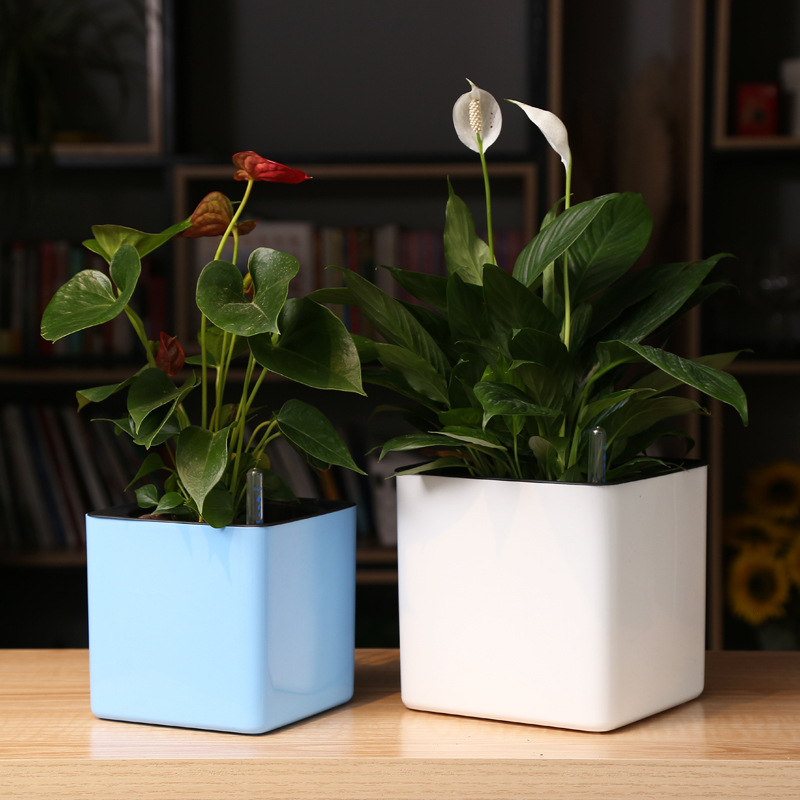 Self-Watering Planter